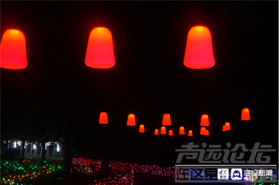 济宁首届四季牡丹园夜游季游玩攻略出炉-7.png