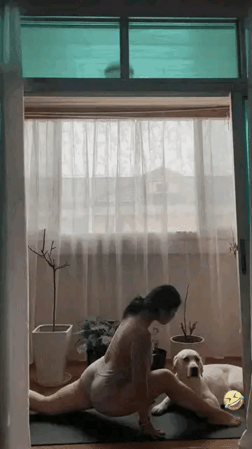 front2_0_lgAQX5bIHJV-pxgPkhv5gjxBjHNA.1630383061.gif