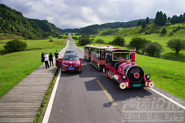 百车自驾仙女山最美公路 沿途风景令人陶醉-2.png