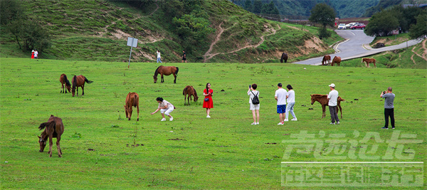 百车自驾仙女山最美公路 沿途风景令人陶醉-3.png