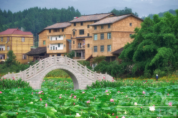 百车自驾仙女山最美公路 沿途风景令人陶醉-6.png