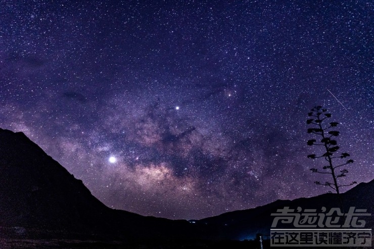 欧神诺星系列 | 星汉灿烂 养怡之福——见钟情的优雅精致生活从这里开始-10.jpg