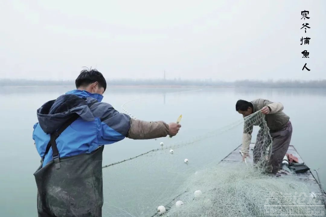 太白湖冬捕-4.jpg