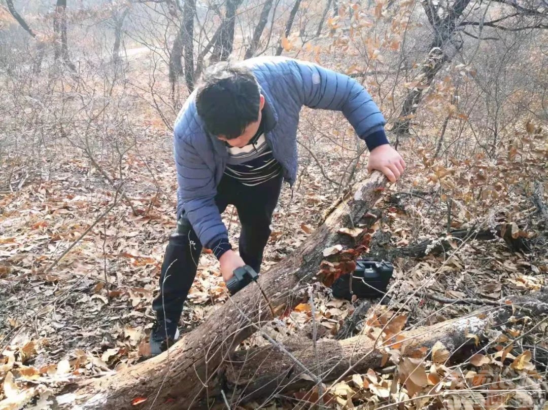 邹城市首次发现野生药用红栓菌-1.jpg