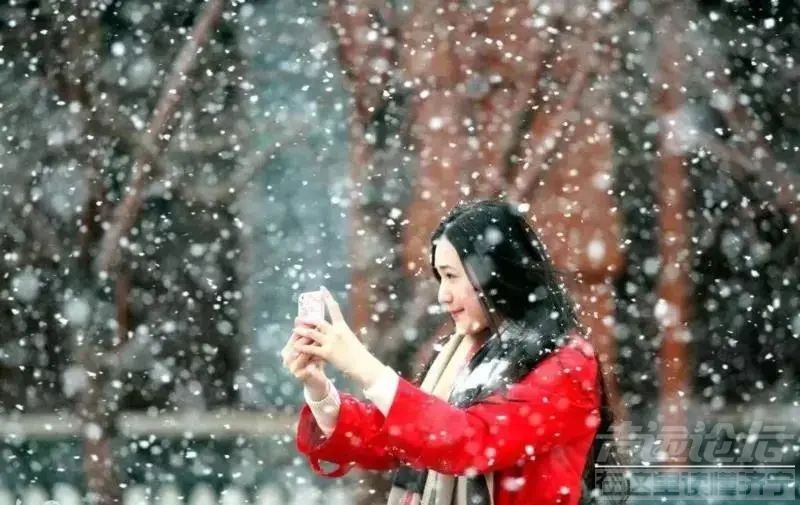 超好玩！济宁吾悦广场冰雪乐园1月15日盛大开业！免费门票无限送！不限量！-23.jpg