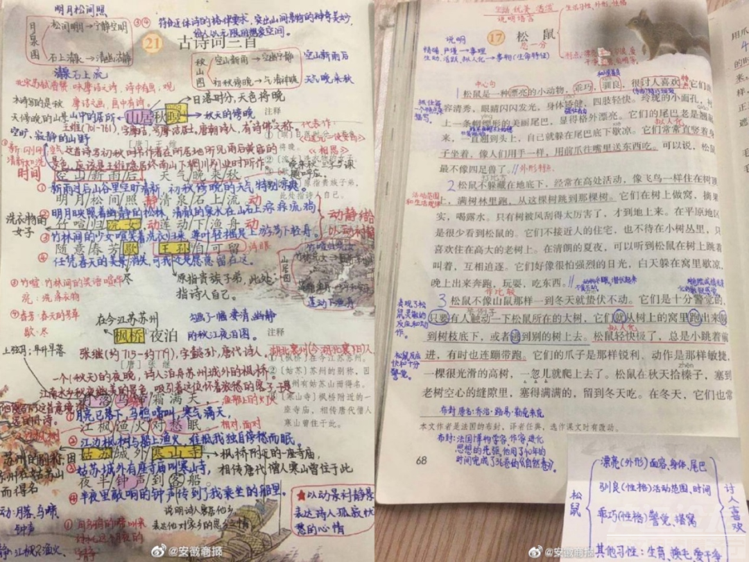 “双减”第一次期末考试后，才知道谁在裸泳：快乐教育输了，佛系爸妈败了…-1.jpg