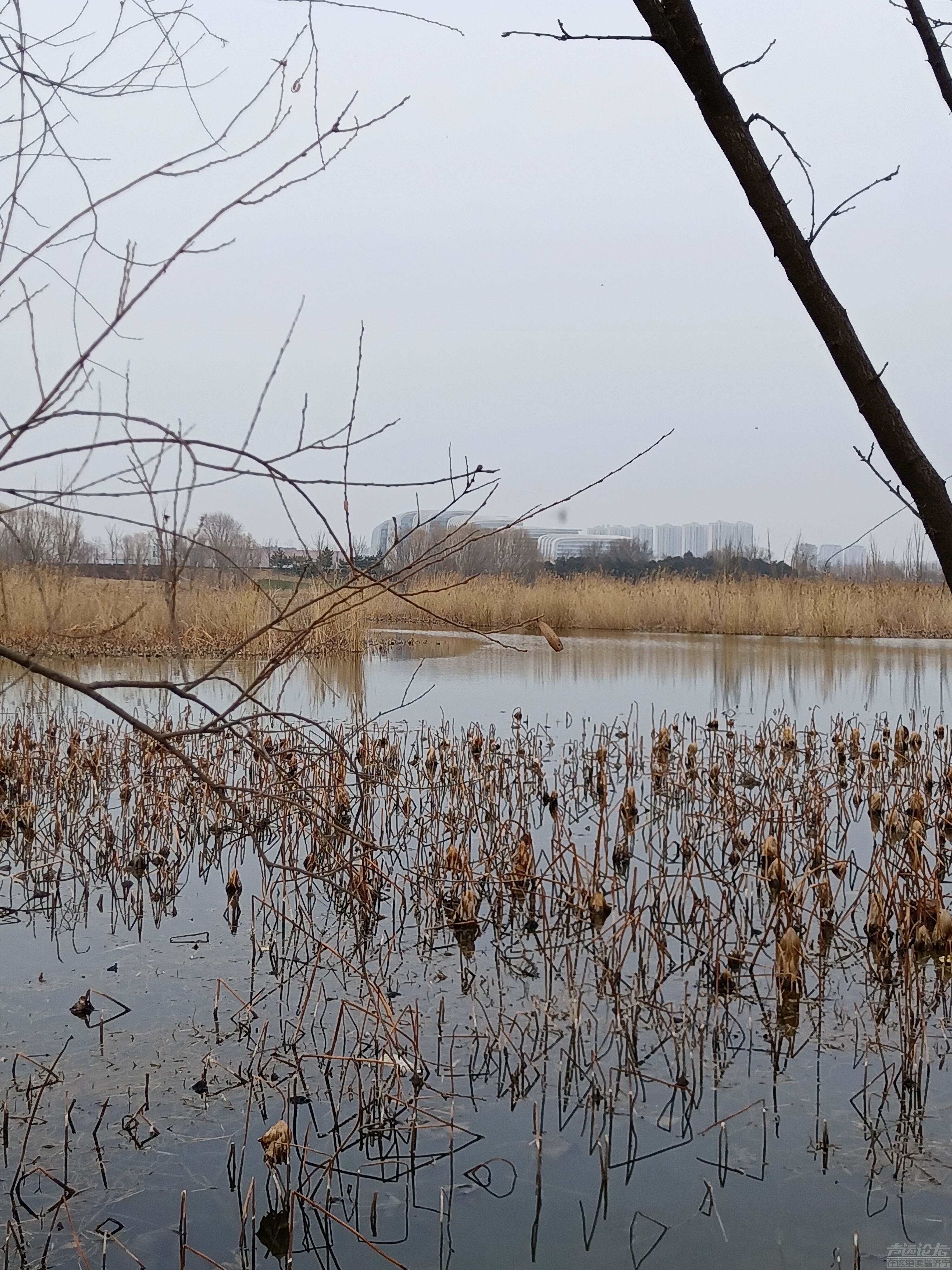 北湖公园景区李白杜甫-3.jpg