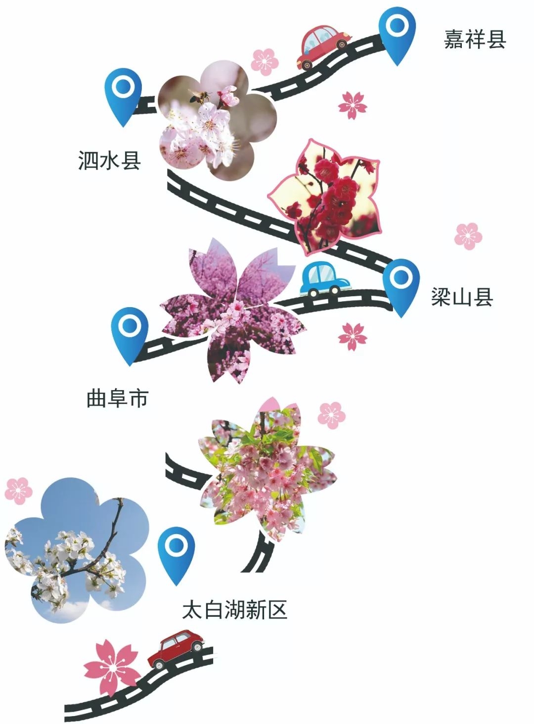 烟花三月来济宁这样玩转花海，不虚此行-1.jpg