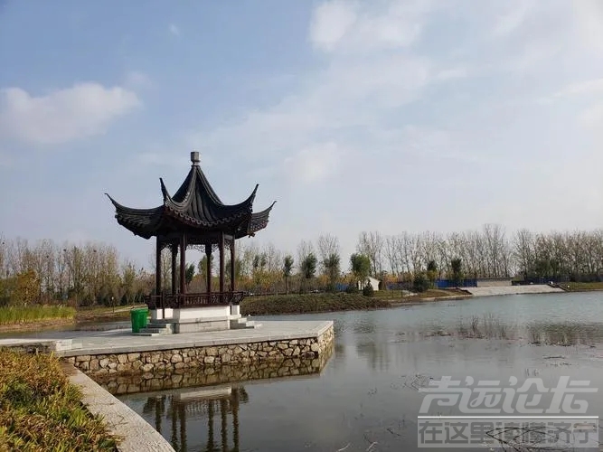 济宁城北的少康湖，一个因采煤塌陷区形成的湖泊，正在花大力气改造的湿地湖泊公园！-5.jpg