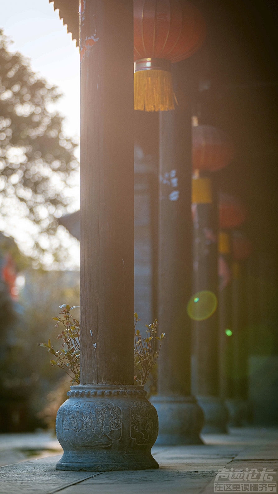 景区随拍 春花  摄影孔闯 (66) 徐嘉_看图王.jpg