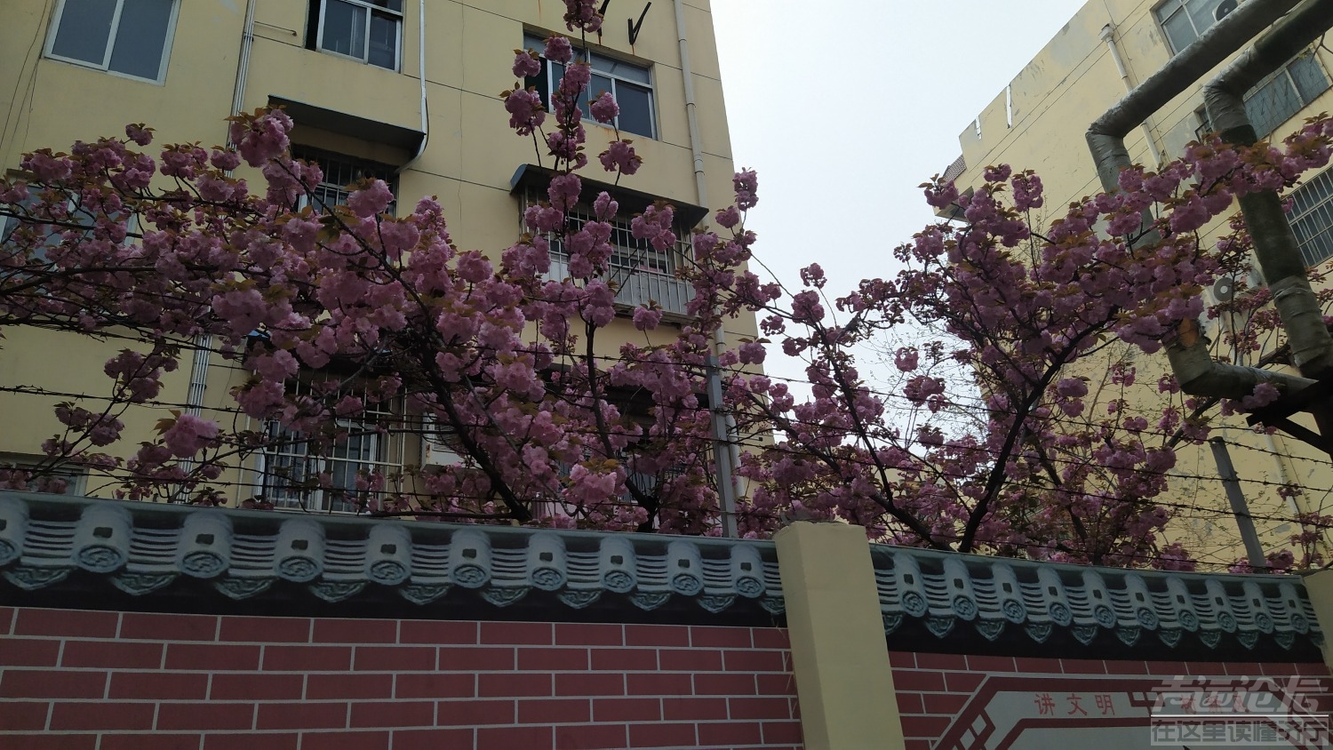 IMG_20220406_121216.jpg