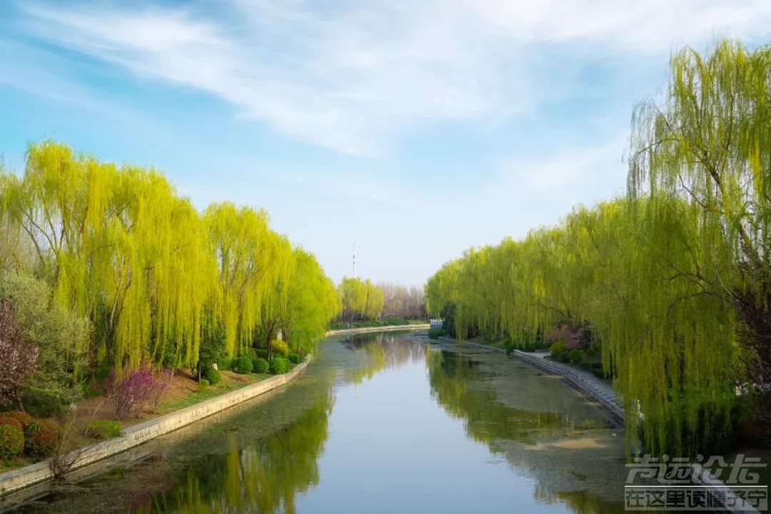 朋友的家在运河岸边，还自带两个庭院，我羡慕了-3.jpg