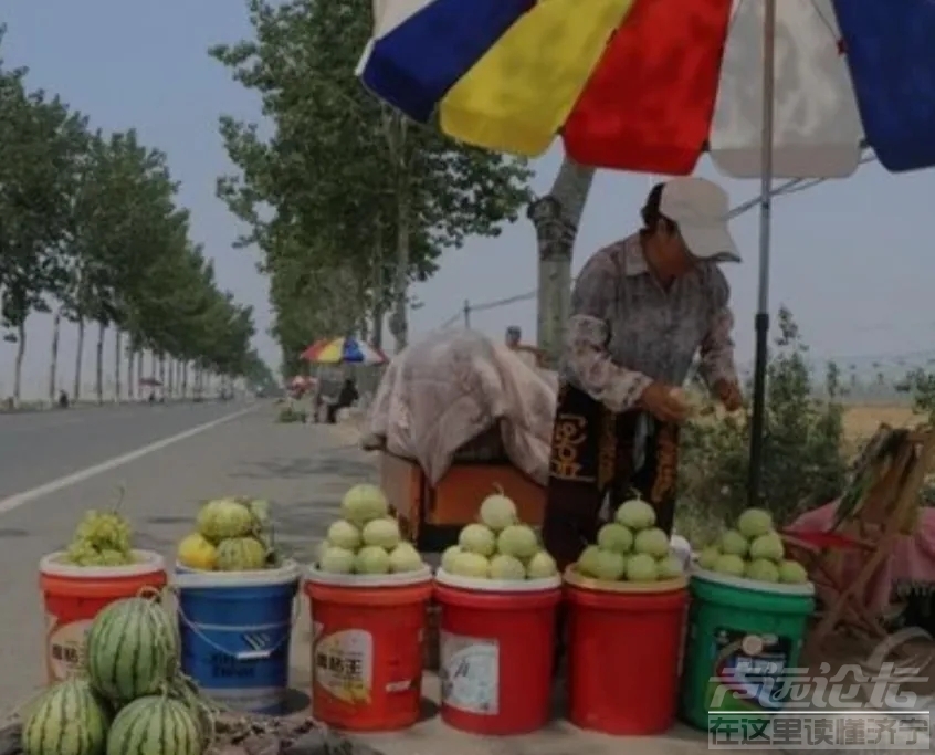为什么现在金乡都不种甜瓜了，现在甜瓜都是喻屯的了？-7.jpg