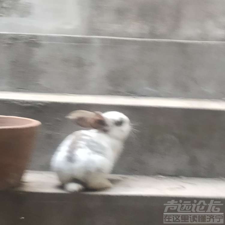 20220426081409front2_0_114191_Fjx4UVE-iOgkWL9OYTk9i95MnBIX.jpg