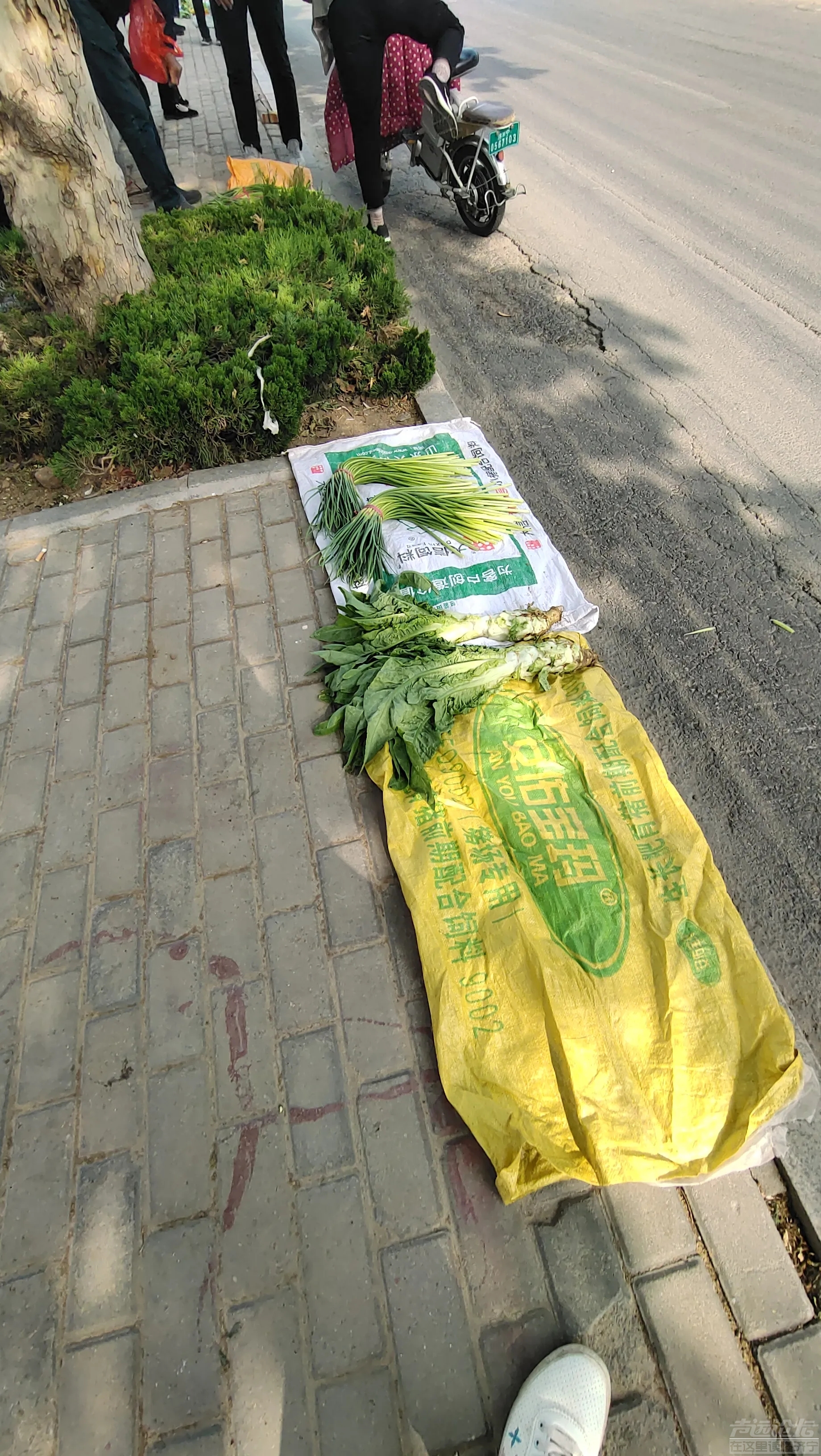 街上虽然人流并不多，可农村来卖菜的老人们在路边卖的菜并不贵，韭菜2.0元一捆。。-6.jpg