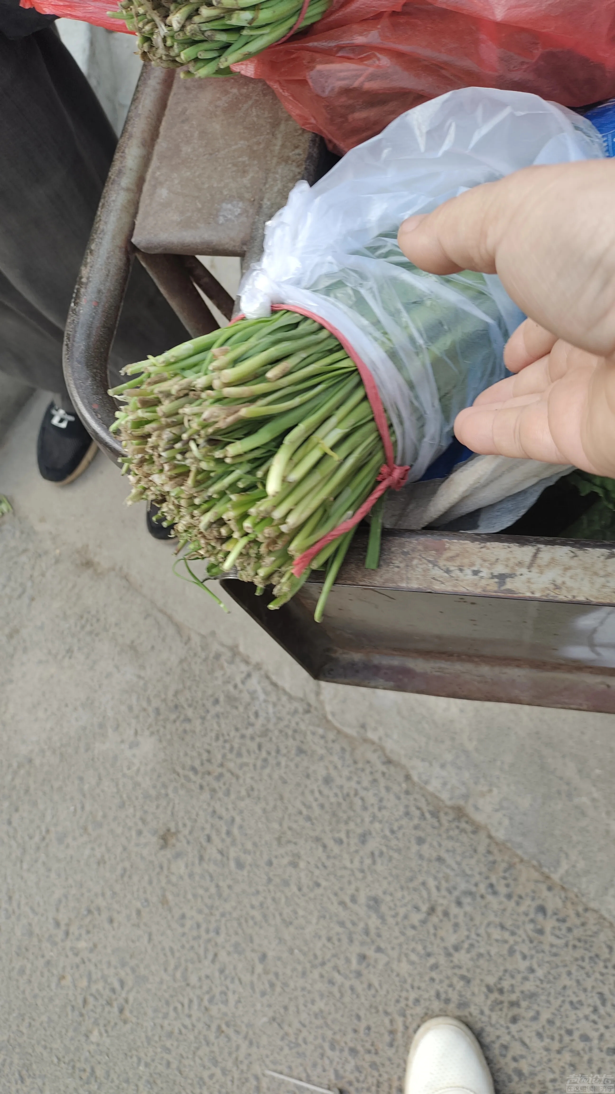 街上虽然人流并不多，可农村来卖菜的老人们在路边卖的菜并不贵，韭菜2.0元一捆。。-7.jpg