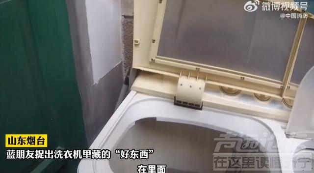 山东女子洗衣机洗出一条蛇，吓得报警求助，消防员：这可是好东西-1.jpg