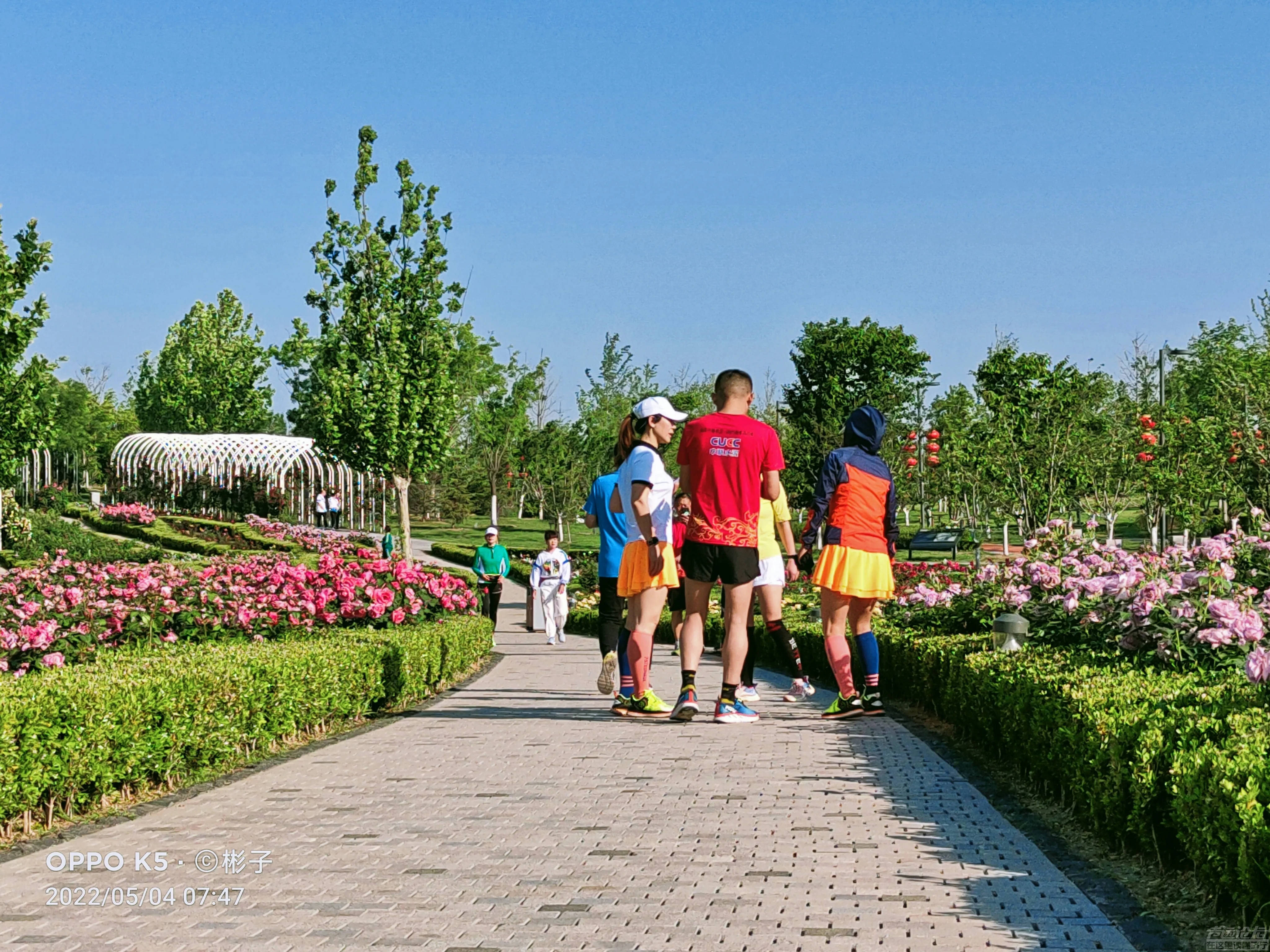 抓住春天的尾巴，打卡济宁凤凰台植物公园！-8.jpg