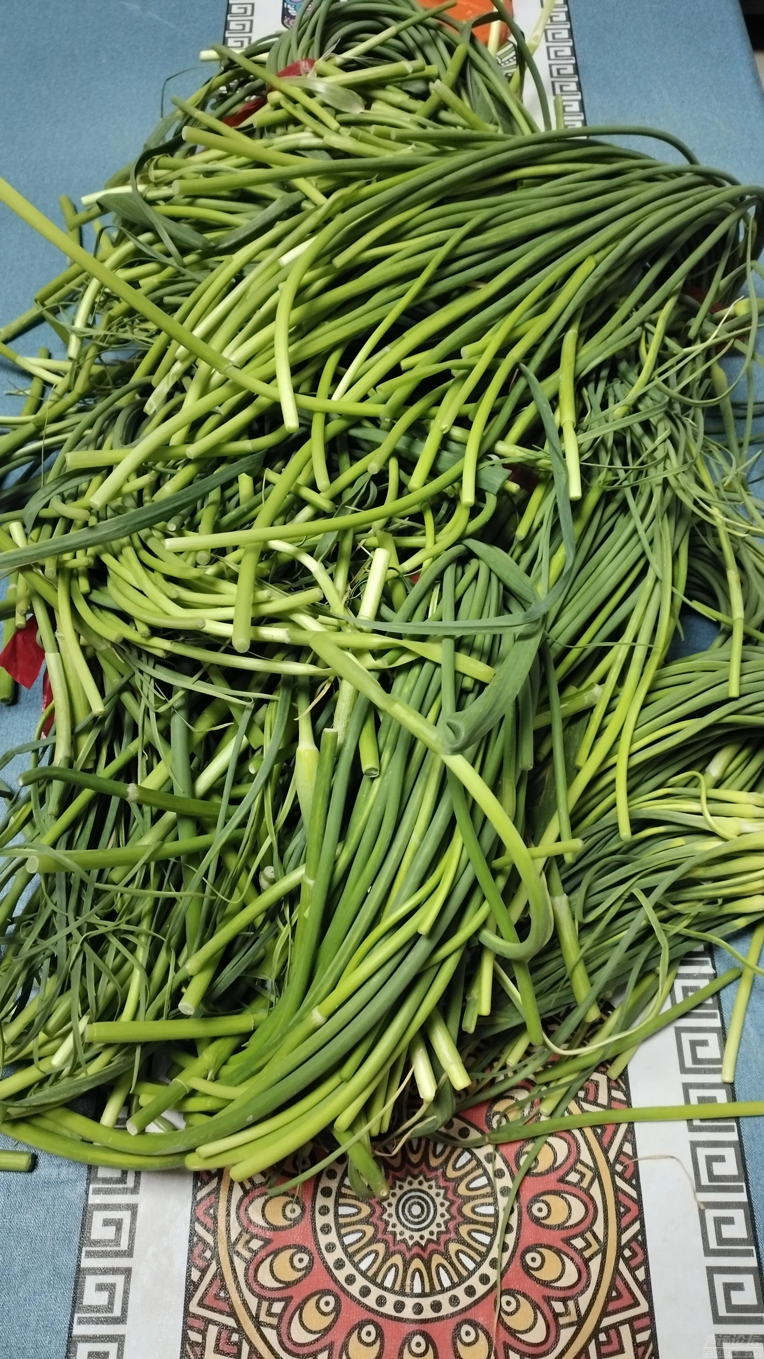 济宁每日菜价，蒜苔4块钱，像这种地里拣回来的蒜苔5毛钱都没有人要-1.jpg