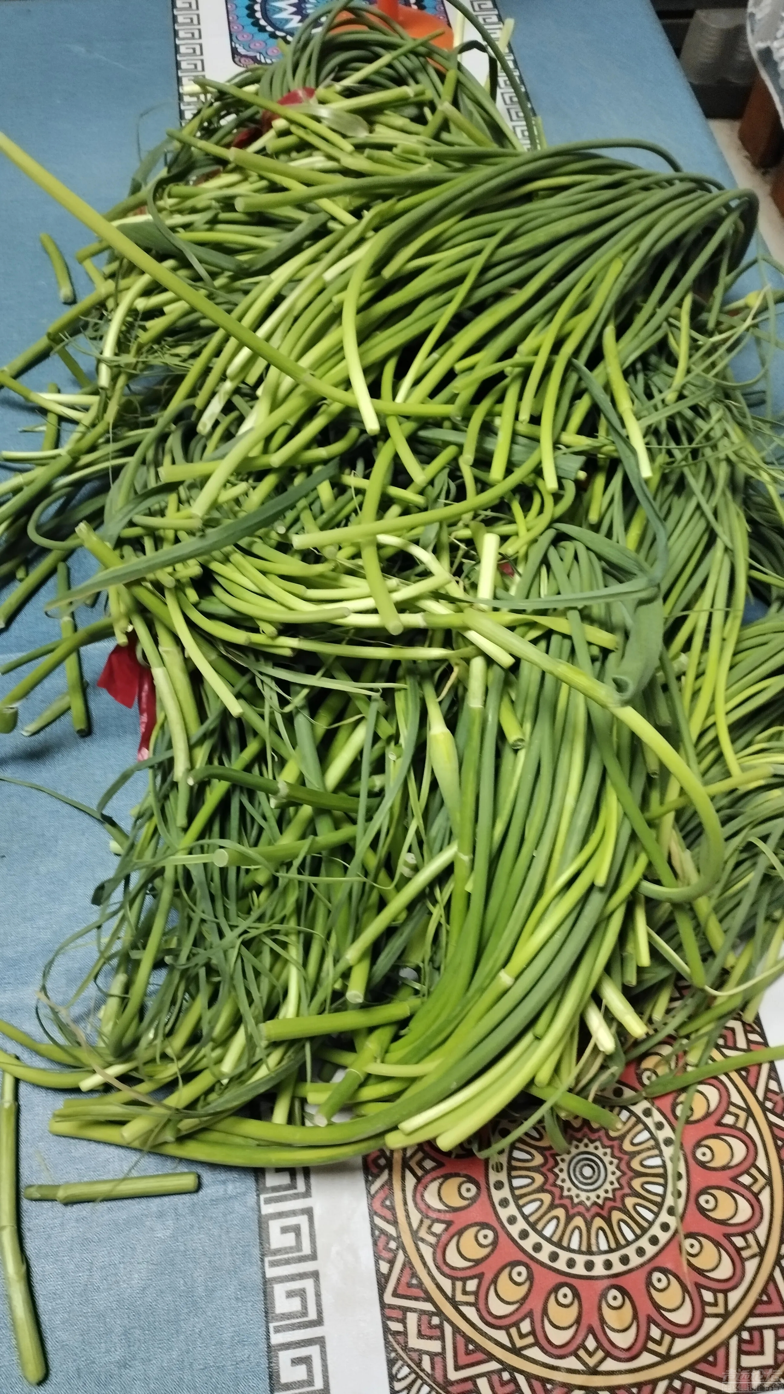 济宁每日菜价，蒜苔4块钱，像这种地里拣回来的蒜苔5毛钱都没有人要-2.jpg