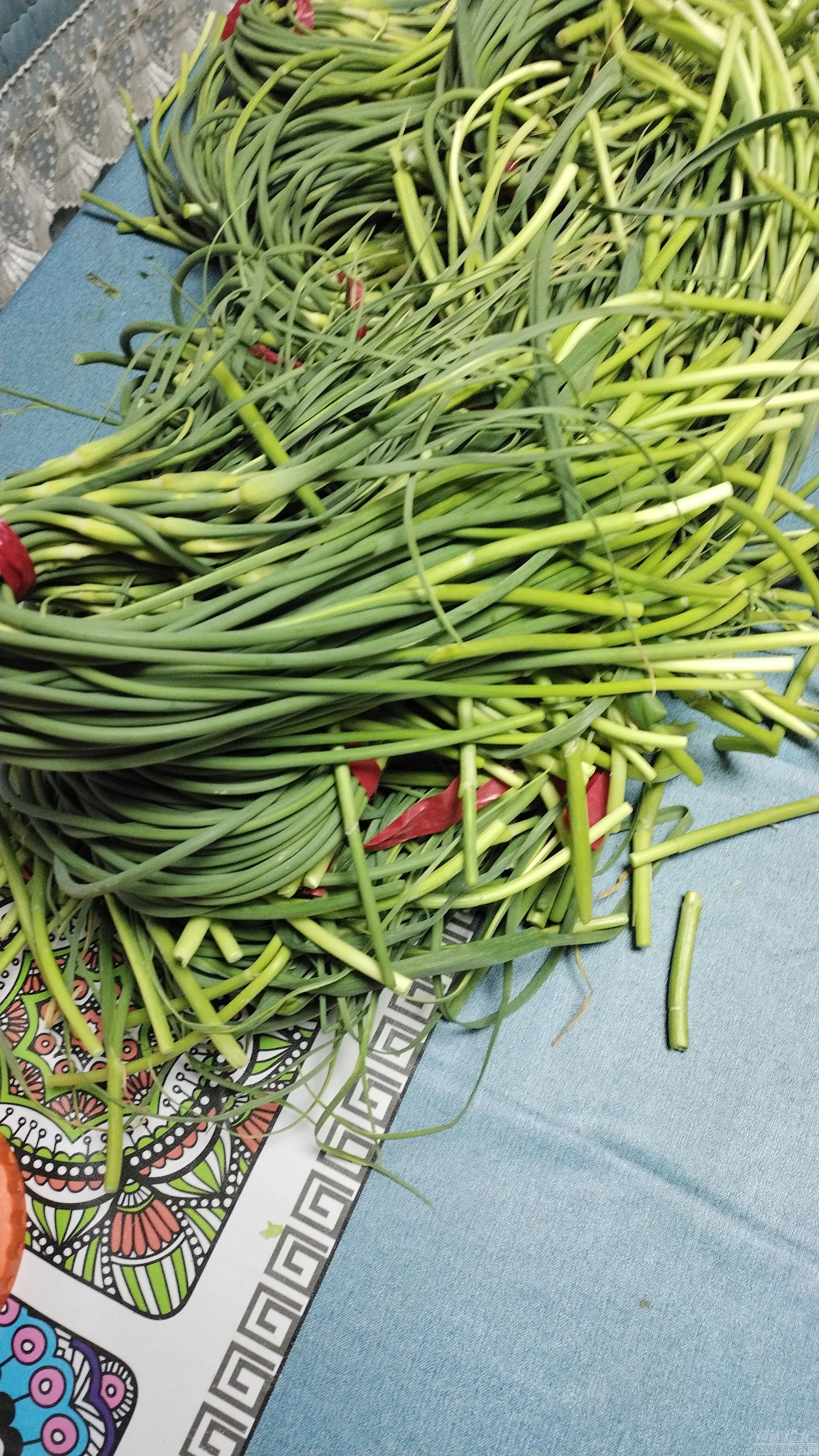 济宁每日菜价，蒜苔4块钱，像这种地里拣回来的蒜苔5毛钱都没有人要-4.jpg
