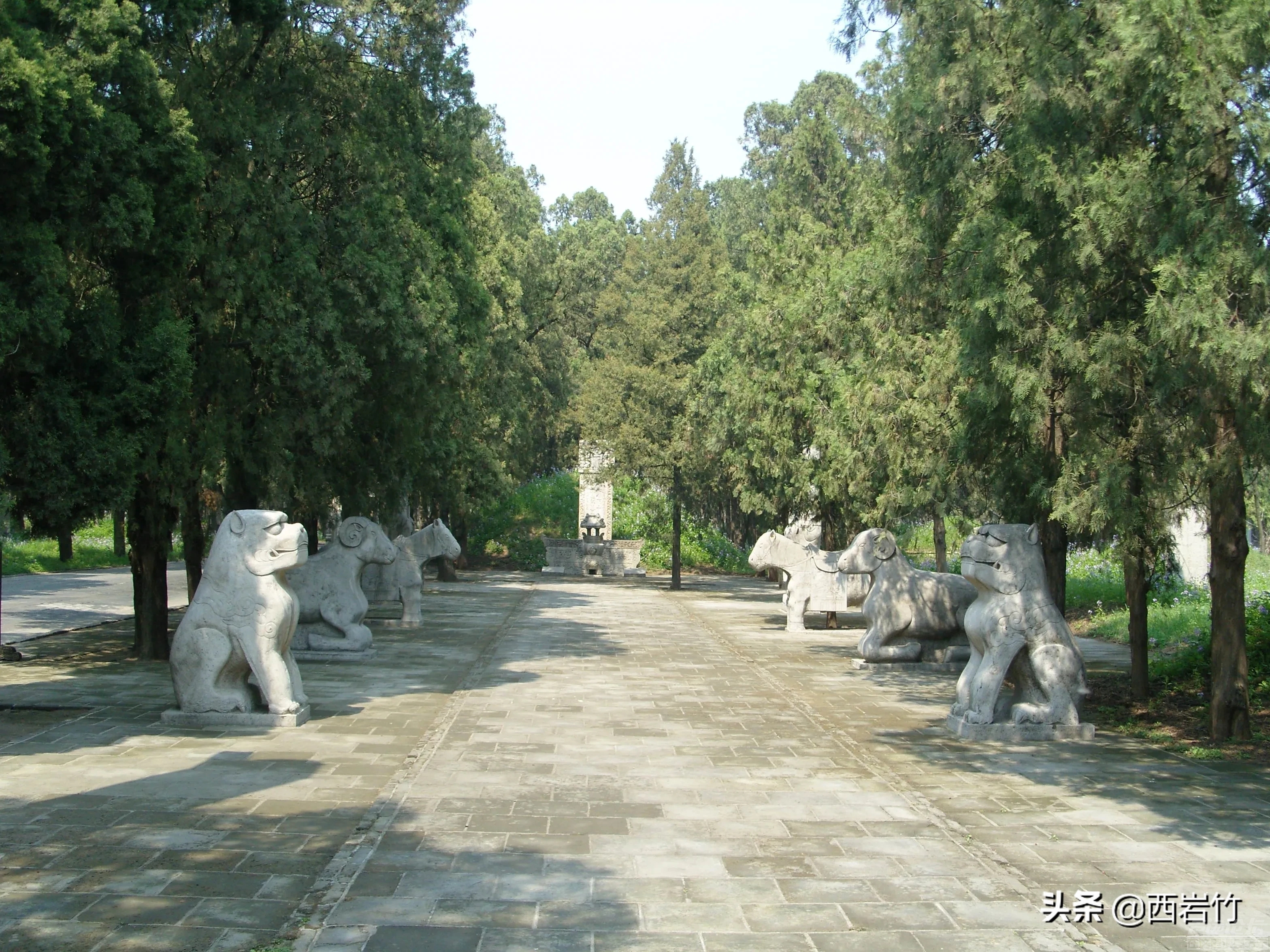 来到山东曲阜孔林，想看景的建议步行，坐在电瓶车上，很多古墓看的不详细-5.jpg