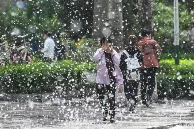 柳絮满天飘 山东省眼科医院提醒您警惕过敏性结膜炎-1.jpg