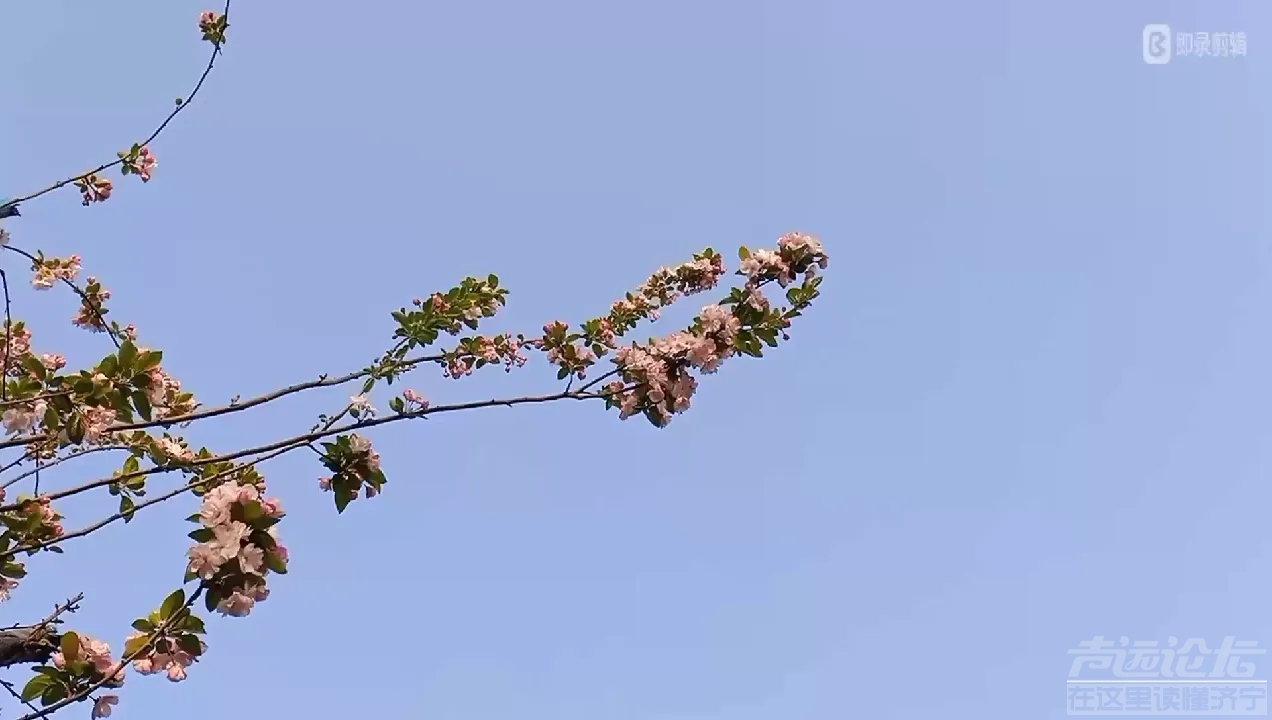 居住的小城，湛蓝如洗天空，非常治愈，沐浴在这蓝天下，绿树、碧水、红花、绿叶，美...-5.jpg