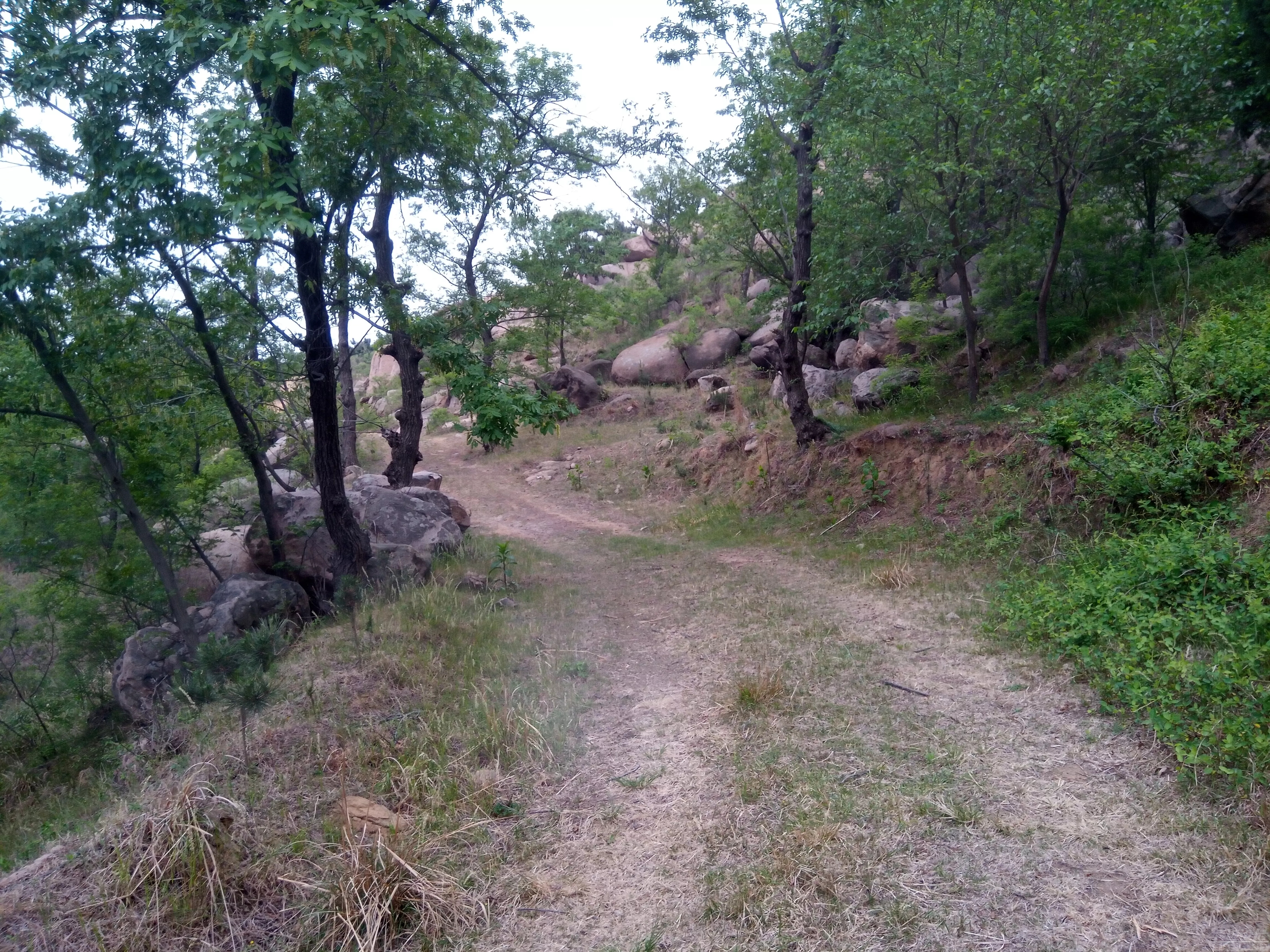 山东省济宁市邹城莲青山风景区，看着这地方还不错来，不孬~-18.jpg