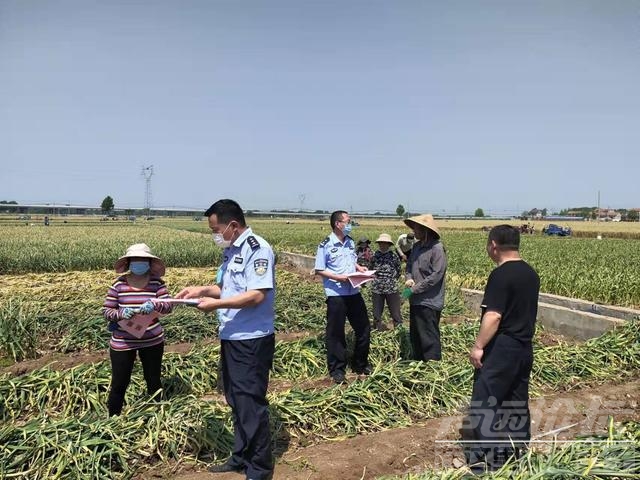 微山县两城镇：防范到田间地头 宣传到群众心坎里-1.jpg