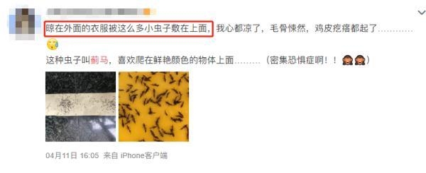 紧急提醒！最近少穿黄色、绿色衣服出门-1.jpg