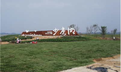 楼下有个百亩公园，是什么体验？-4.jpg
