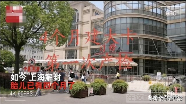 上海女子意外怀孕想打胎遇疫情，隔离73天胎儿4个月，网友：天赐-6.jpg
