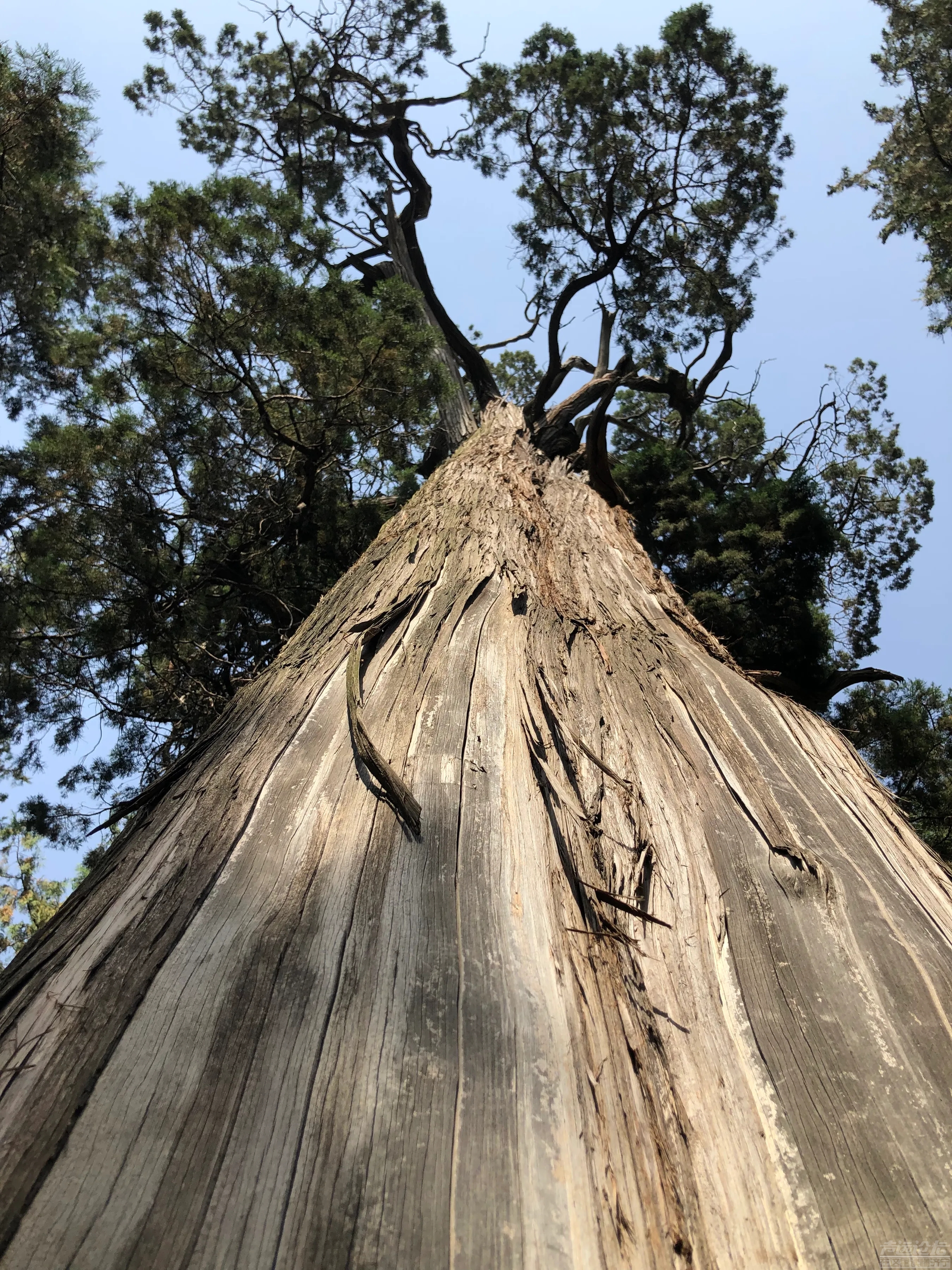 趁济宁景区门票免费的机会去曲阜三孔游玩了一圈，很方便，查验健康码、行程码、核酸...-3.jpg