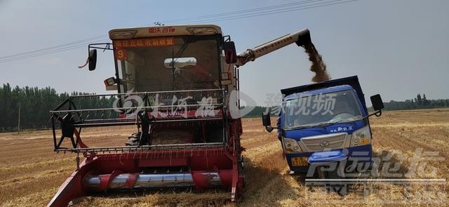 河南95后农机手夫妻逐麦记：一路北上已到山东，日收入近万元-5.jpg