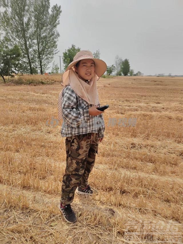 河南95后农机手夫妻逐麦记：一路北上已到山东，日收入近万元-2.jpg