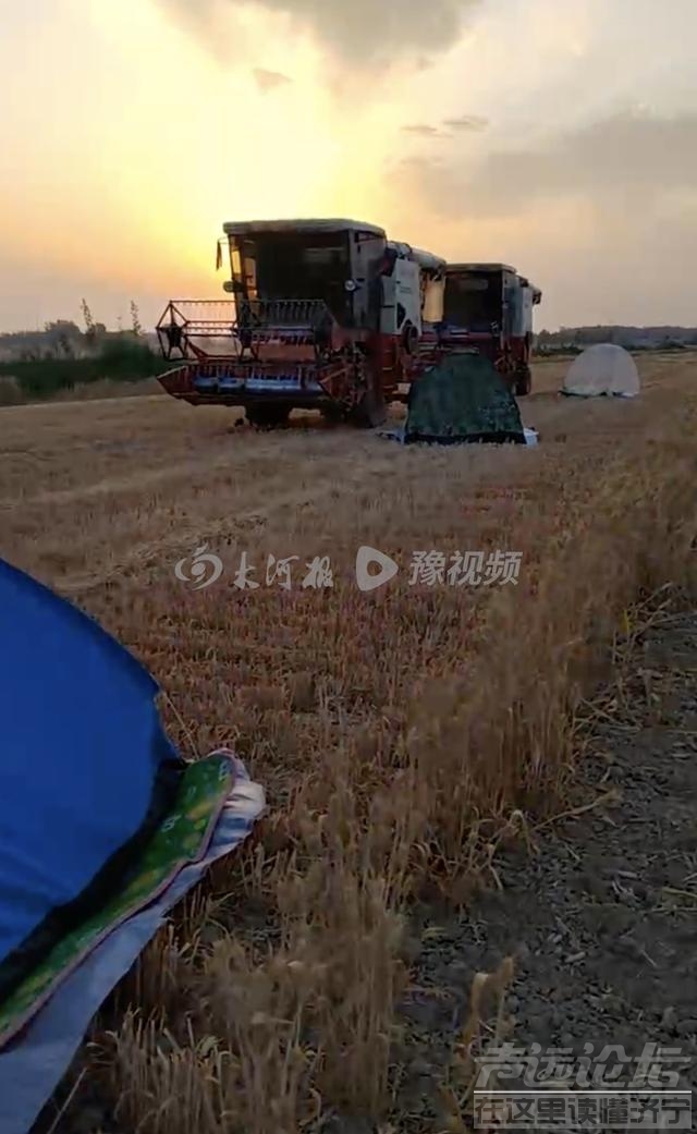 河南95后农机手夫妻逐麦记：一路北上已到山东，日收入近万元-4.jpg