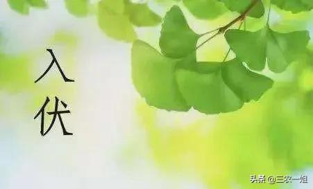 天气预报：2022年哪天入伏？今日夏至，三伏天会很热吗？农谚咋说-1.jpg