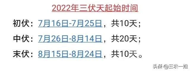 天气预报：2022年哪天入伏？今日夏至，三伏天会很热吗？农谚咋说-4.jpg
