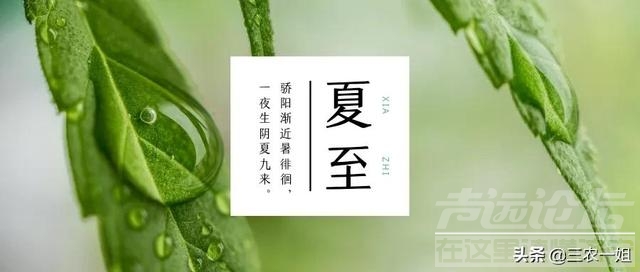 天气预报：2022年哪天入伏？今日夏至，三伏天会很热吗？农谚咋说-7.jpg