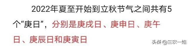 天气预报：2022年哪天入伏？今日夏至，三伏天会很热吗？农谚咋说-3.jpg