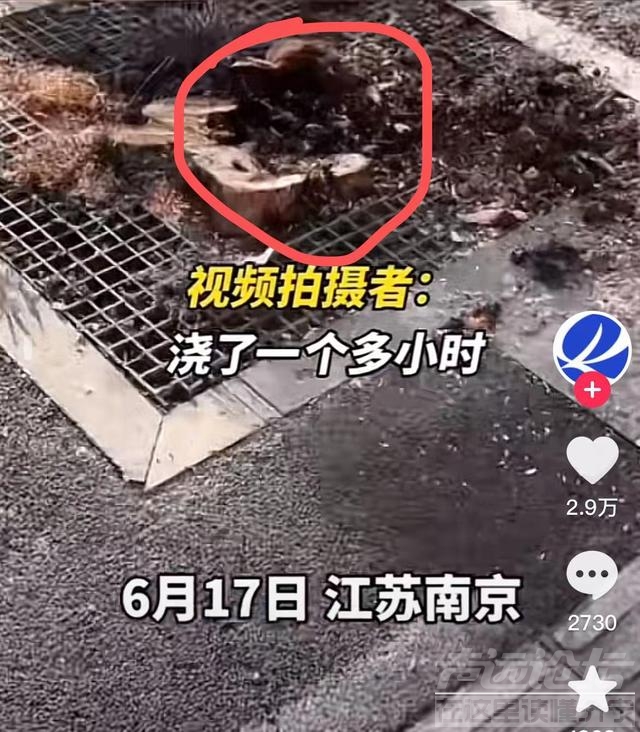 罕见！河南地表最高温74℃，南京树木自燃烧断根，为何如此反常？-6.jpg