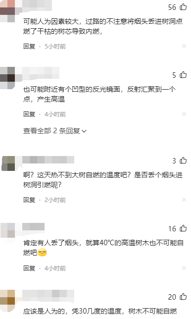 罕见！河南地表最高温74℃，南京树木自燃烧断根，为何如此反常？-3.jpg