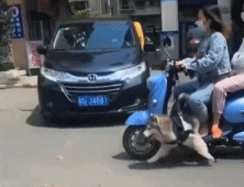 20220623174635front2_0_93467_FoIgo_S6Wcn8KuA6XNKPpvmsy_a4.gif