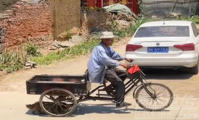 河南晒成可南了？吊扇被“烤化”，拖鞋晒成童鞋，小狗追着车影躲太阳-6.jpg