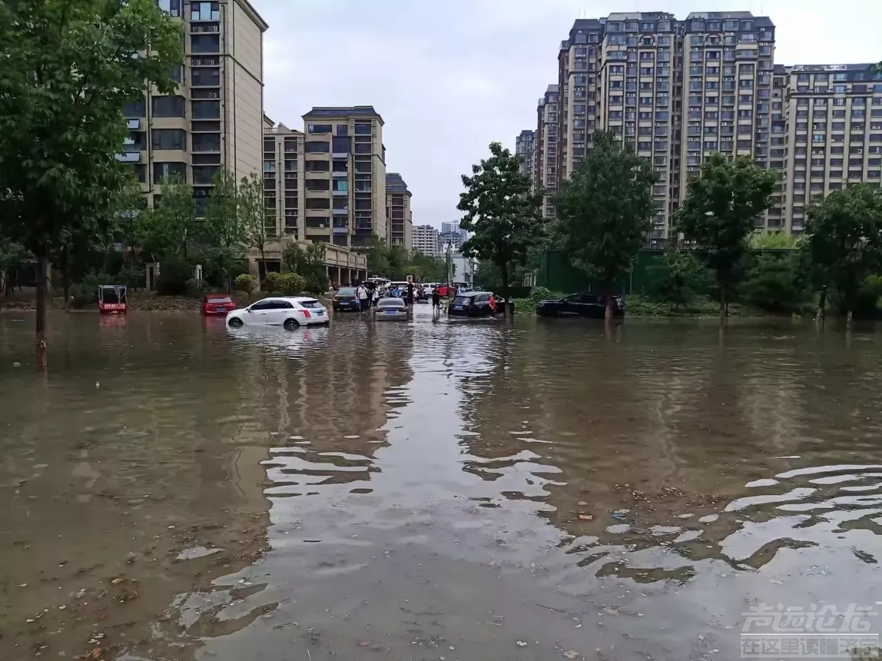 济宁城区每年雨季都变成海，雨污管网分流工程政府投巨资的投入，难道就解决不了几场...-4.jpg