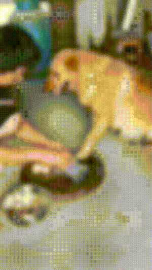 20220712174804front2_0_93467_FijBqoDCEXKFjnMKoD4EJchKXyCa.gif
