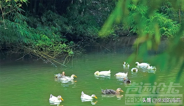 六七十年代农村没空调怎么过三伏天？问过了父亲才知道当年真的苦-4.jpg