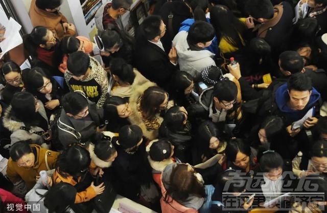 研究生就业困境：有人投300份简历还没找到工作，“有一种和岗位互相看不起的感觉”-5.jpg
