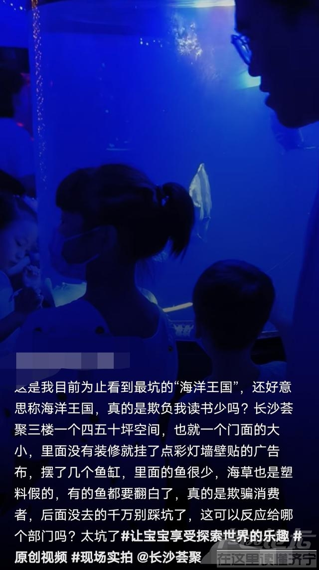 晨意帮忙｜长沙一“海洋王国”被吐槽“不如生鲜市场”，商场：投诉有点多-6.jpg